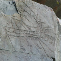 Kalbak Tash deer hunting petroglyph