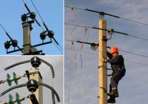 Installing bird protection devices on power lines (photo by SEC)
