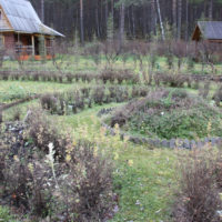 Autumn visit to the Gorno-Altaisk Botanical Garden