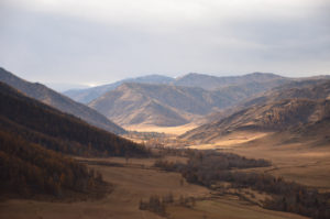 Autumn valley in central Altai Republic. Photo by Femke Koopmans.