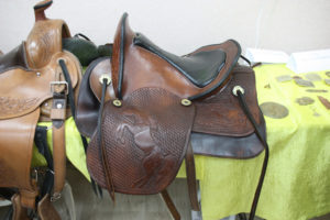 Altaian saddle