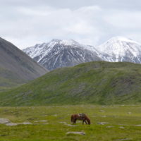 Herder's horse grazing against the backdrop of Chikhachev (photo by M. Kessler)