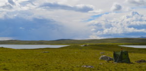 Looking toward Chuisky Steppe over Lake Kindyktykul (photo by A. Rhodes)