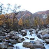 Ground level photo of river water tumbling down a rockbed on a mountainside in autumn
