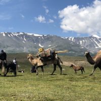 Camel nomads walking past in Mongolian Altai