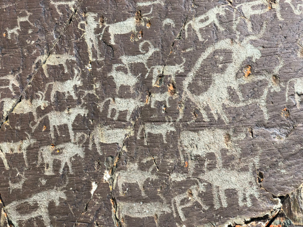 Rock art depicting ungulates and humans in Mongolian Altai, near the Russian border