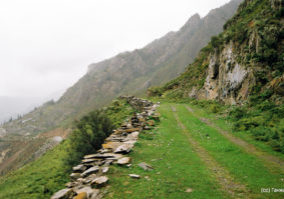 part of Old Chuisky Tract